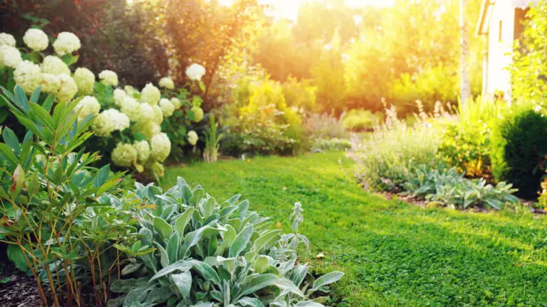 10 złotych zasad aranżacji ogrodu