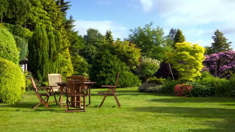 kluczowe zasady aranżacji ogrodu