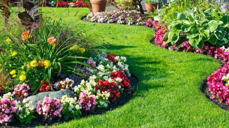 zasady aranżacji ogrodu