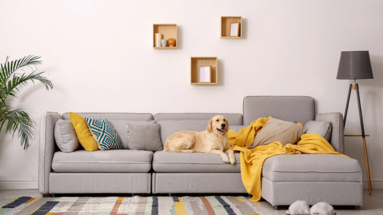 Narożnik do Salonu ze zwierzakiem